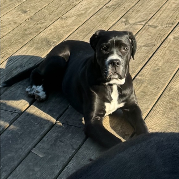 Meet your Posher, April - Picture 2 of 4